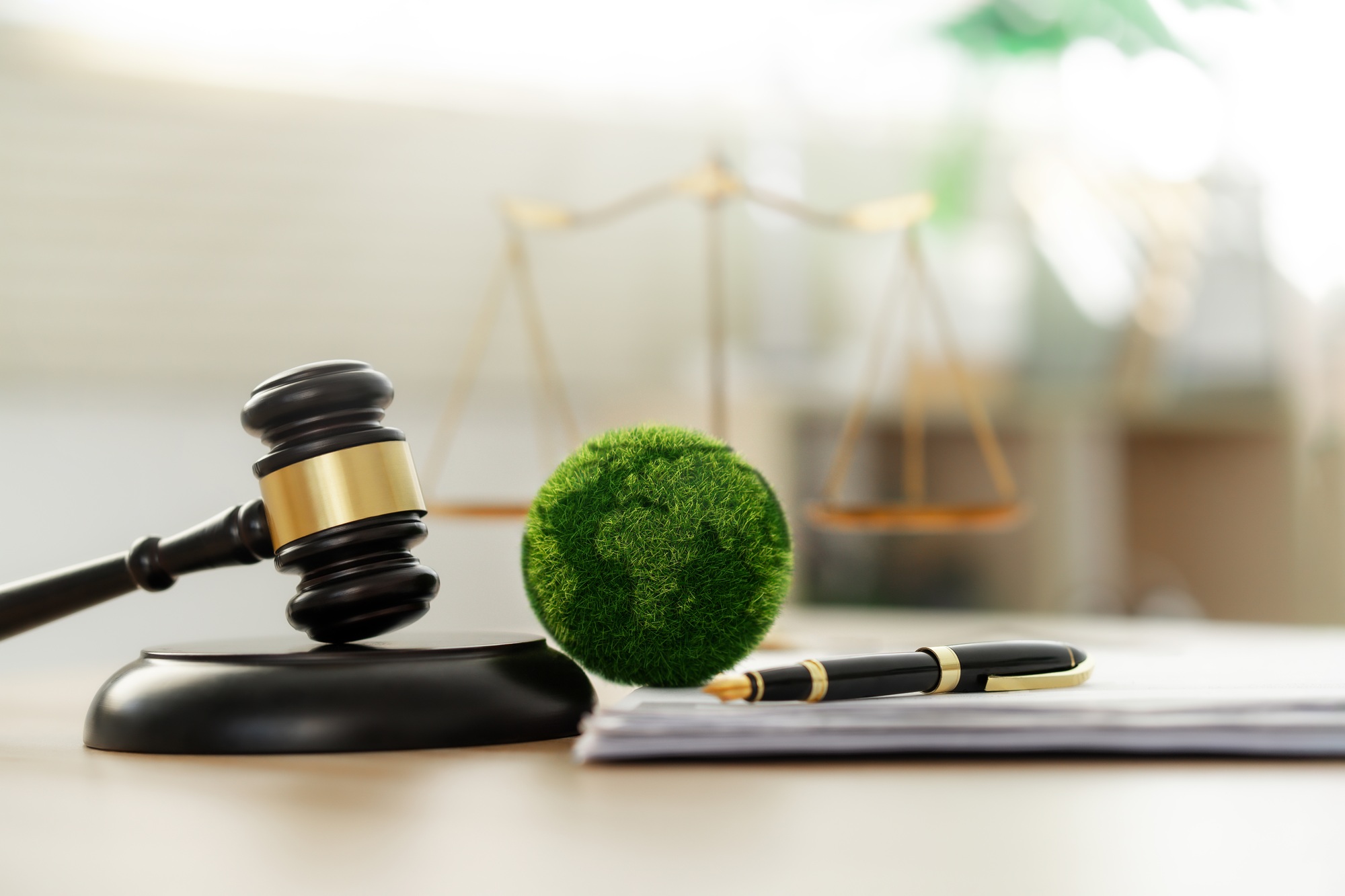 Green law concept. international environmental law Climate or environmental justice Law on green